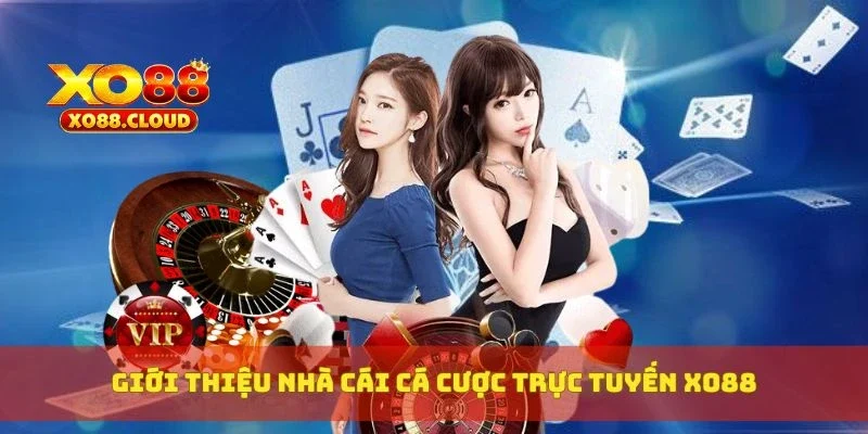 XO88 | Link Vào Nhà Cái Cá Cược Update Mới Nhất T8 10 Giới thiệu nhà cái cá cược trực tuyến XO88